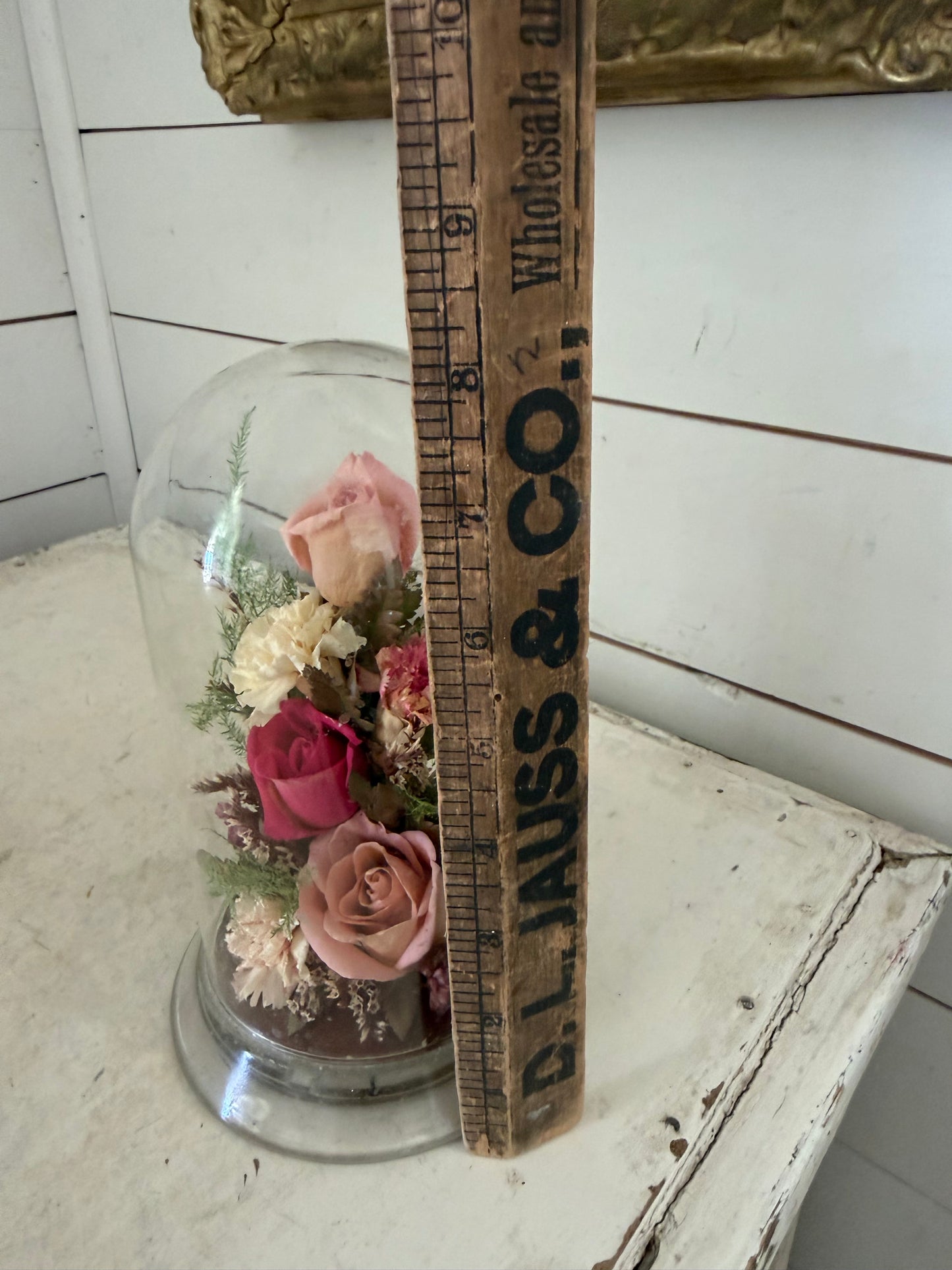 Preserved floral roses in glass dome