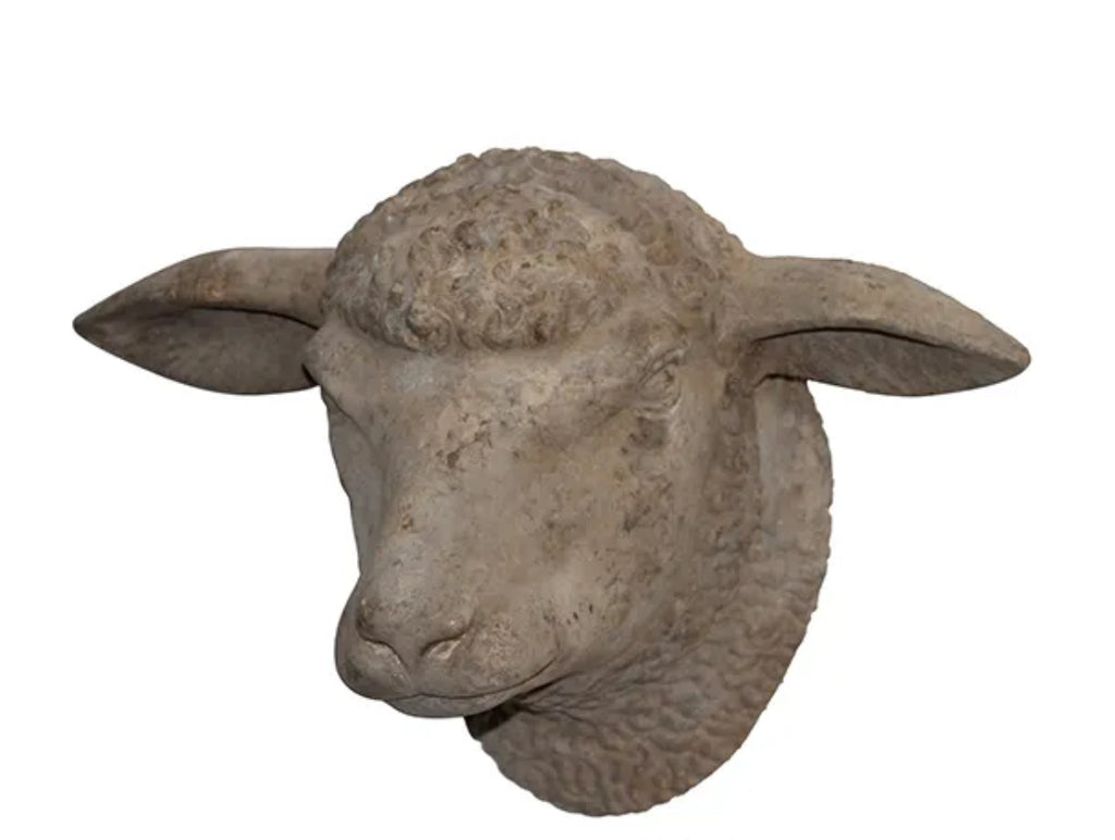 Weathered Sheep's Head