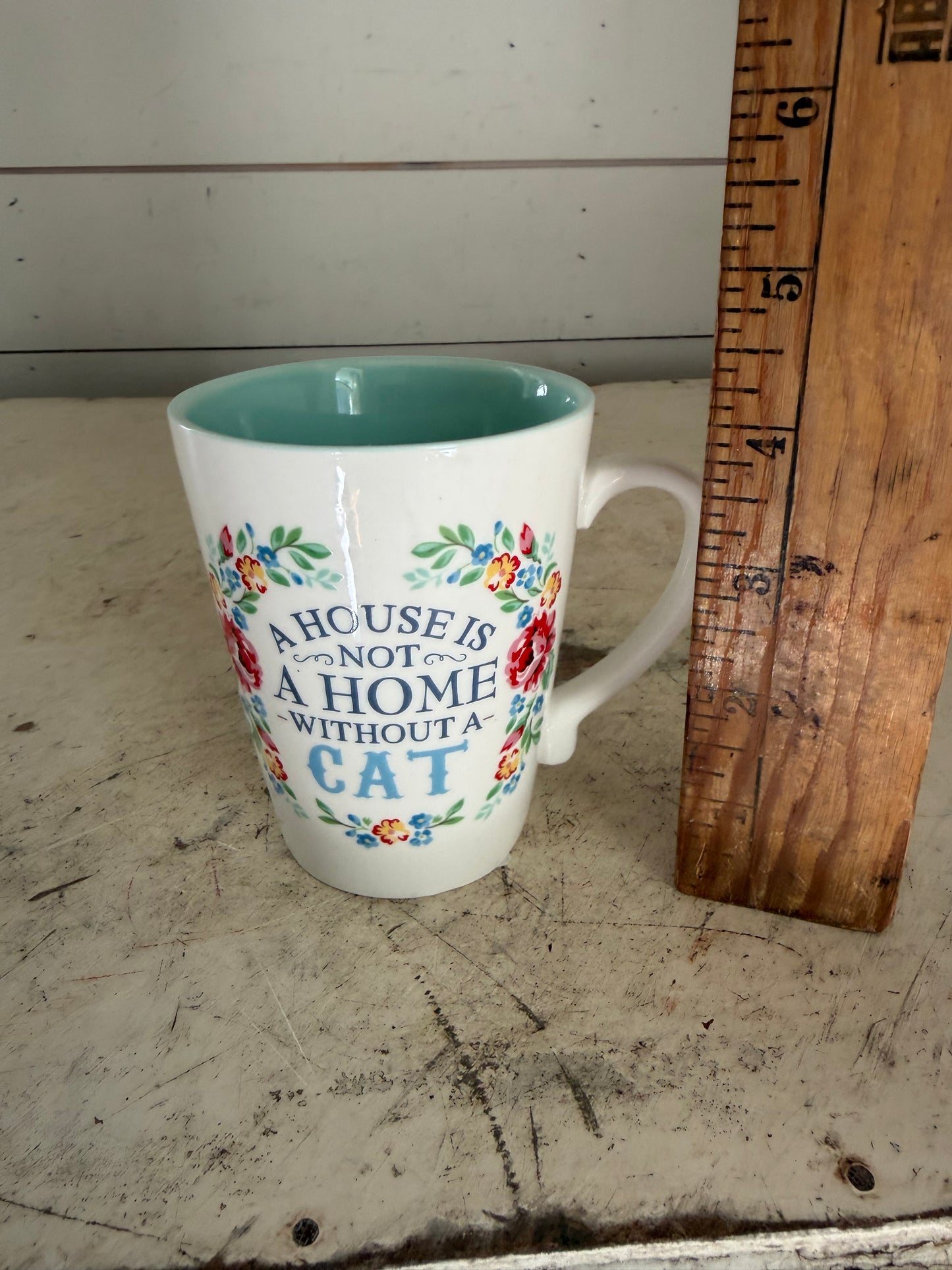 A House is Not A Home Without A Cat