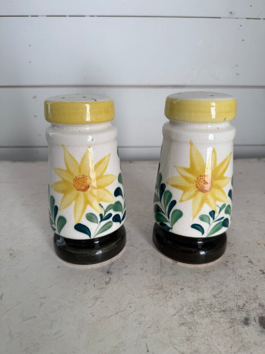 Vintage Nasco Hand Painted Salt And Pepper Shakers