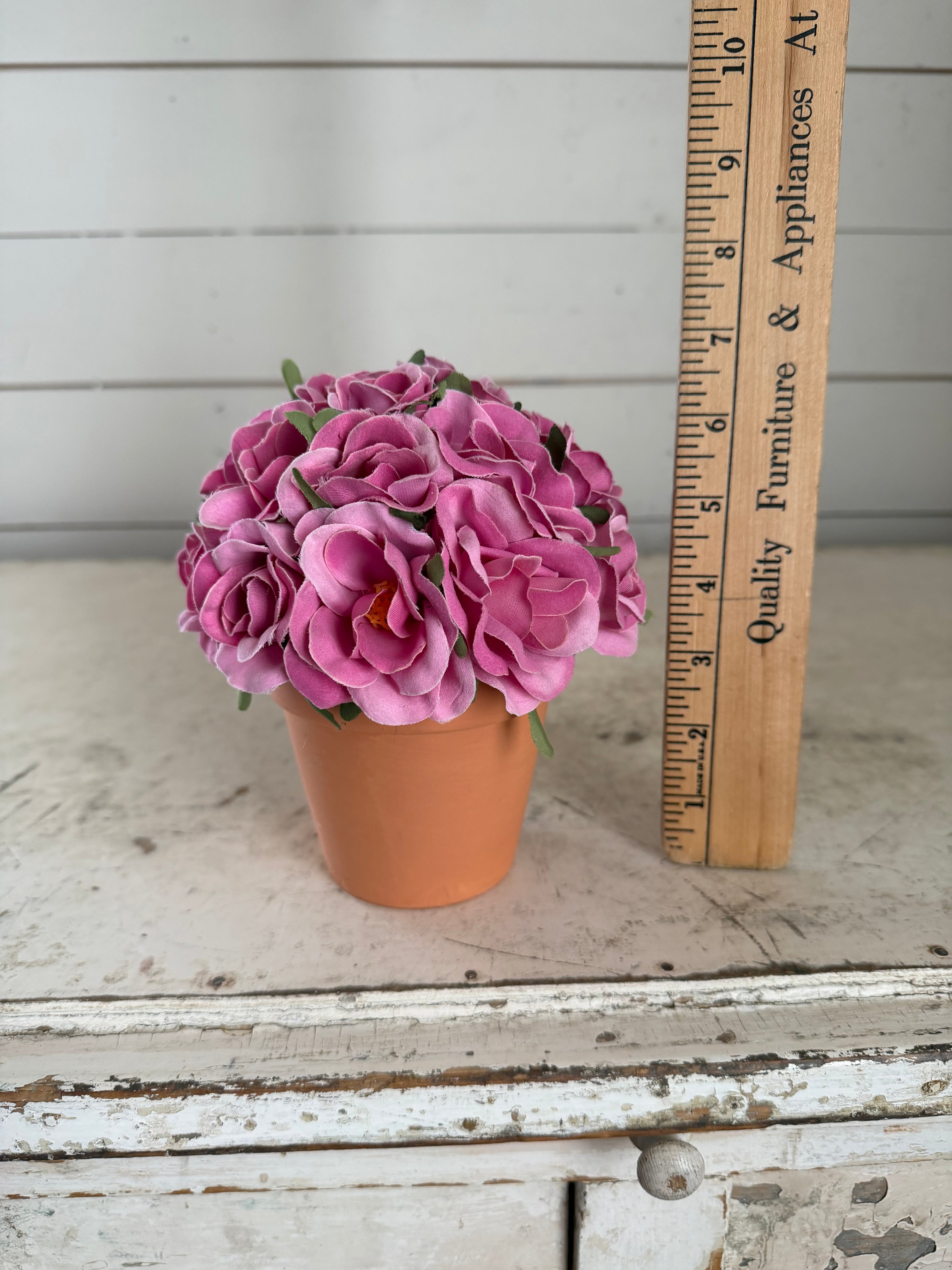 Pink flowers in terracotta pot