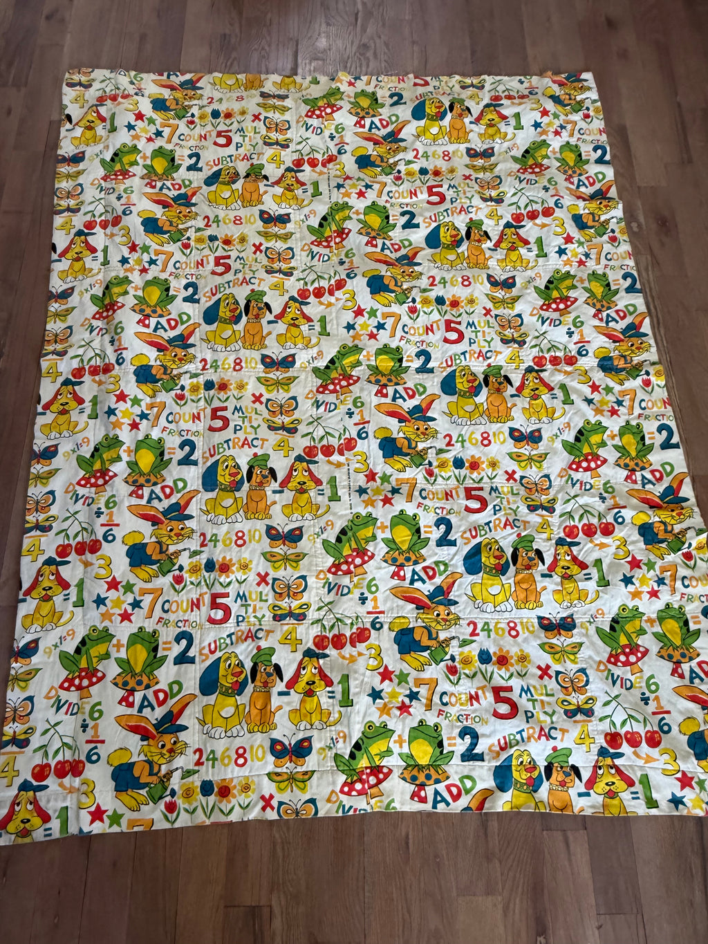 Twin Vintage 1970’s Baby Mathematic Quilt - hand painted on back