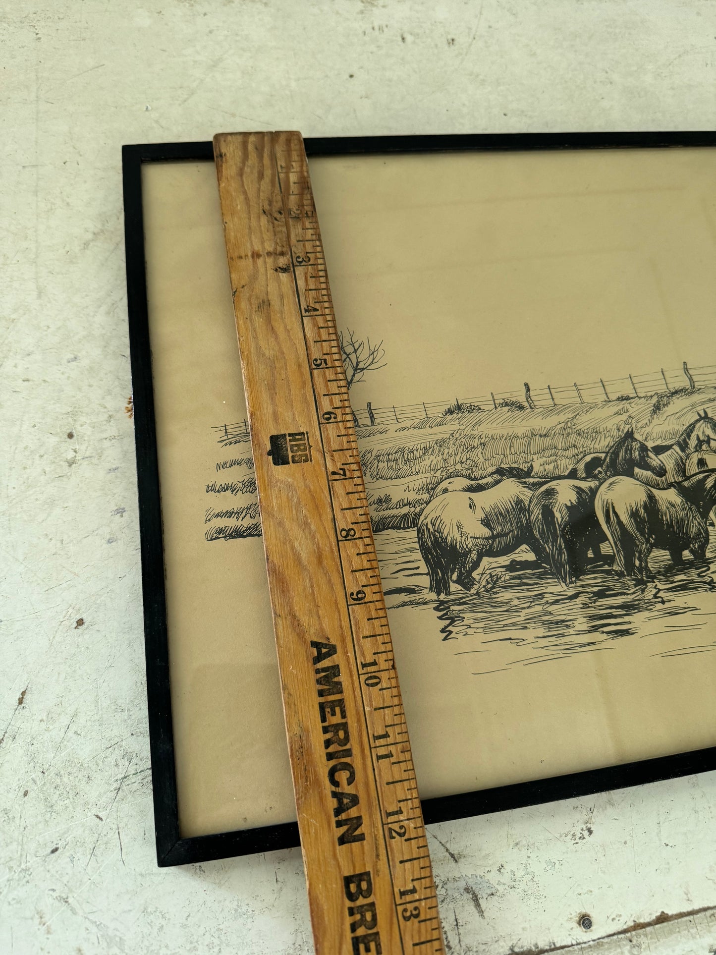 Framed English Horse Print