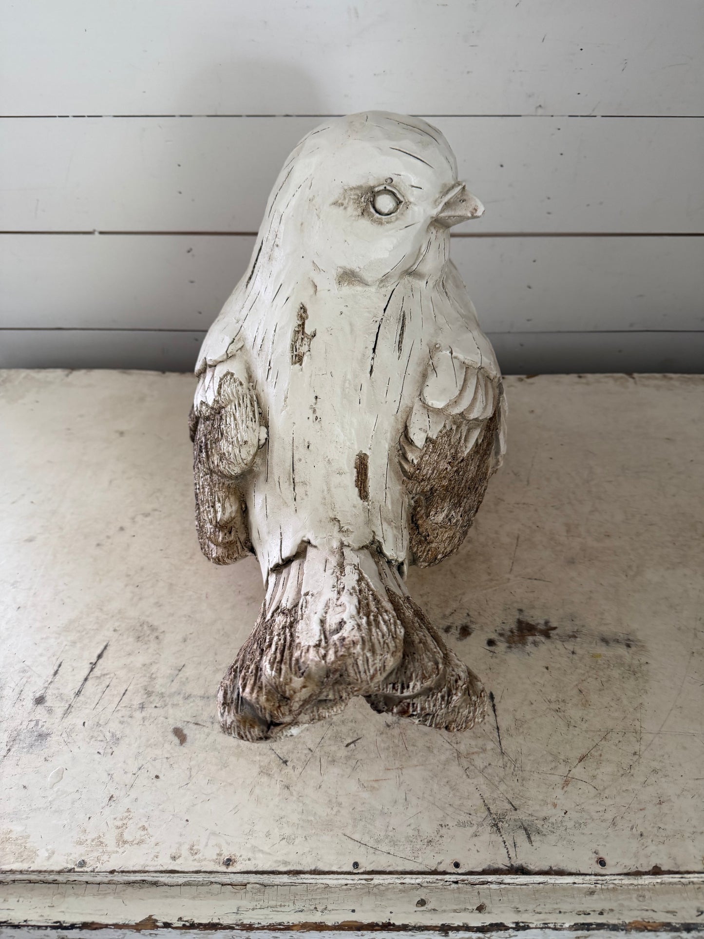 Large Garden Bird