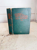 Red Rider, the secret of Wolf Canyon book