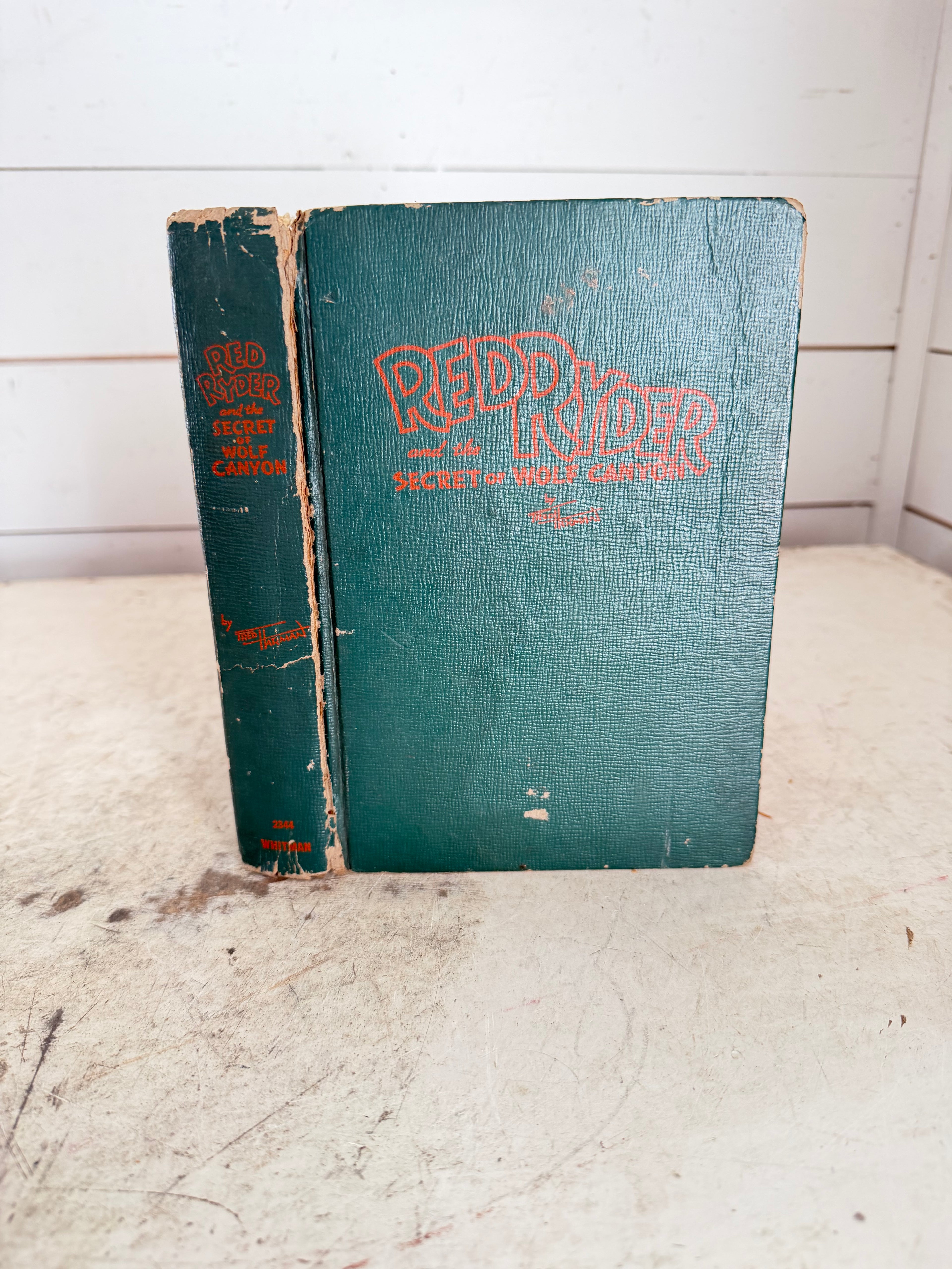 Red Rider, the secret of Wolf Canyon book