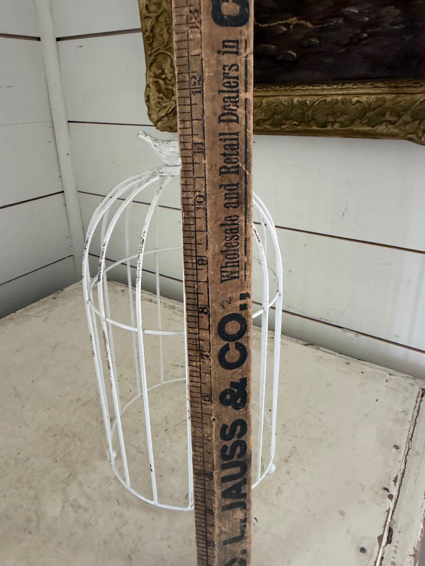 Bird House Cloche