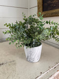 Greenery with marble style pot