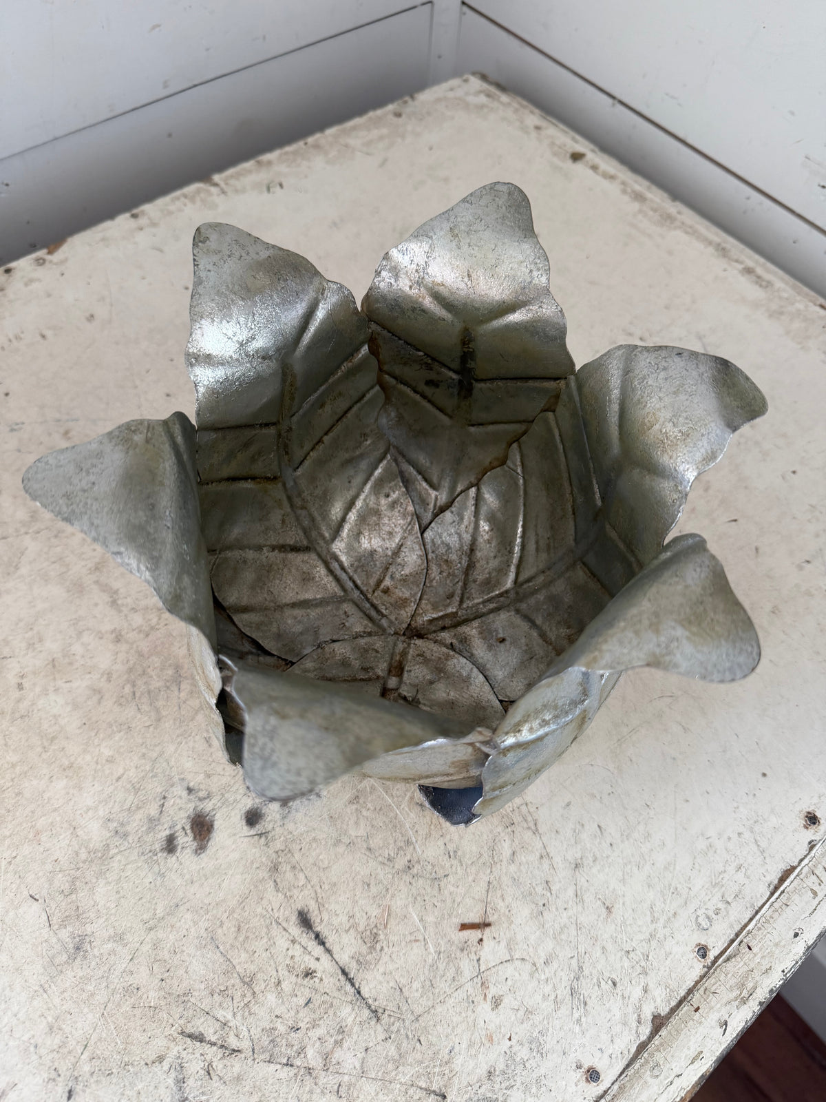 Metal cabbage planter