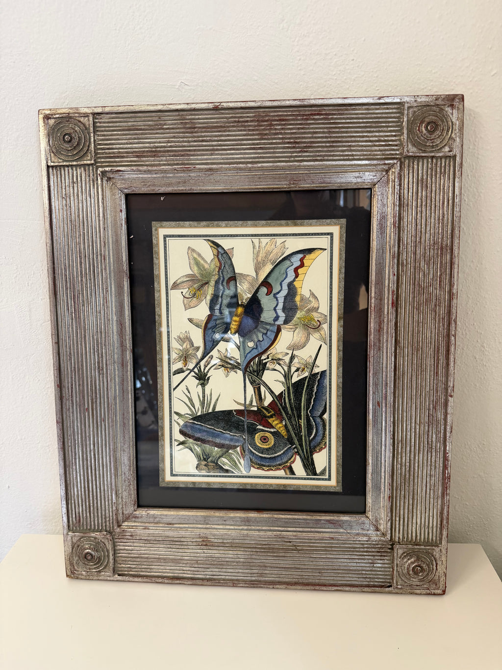 Framed Victorian Style Butterfly Print - Frame will be painted