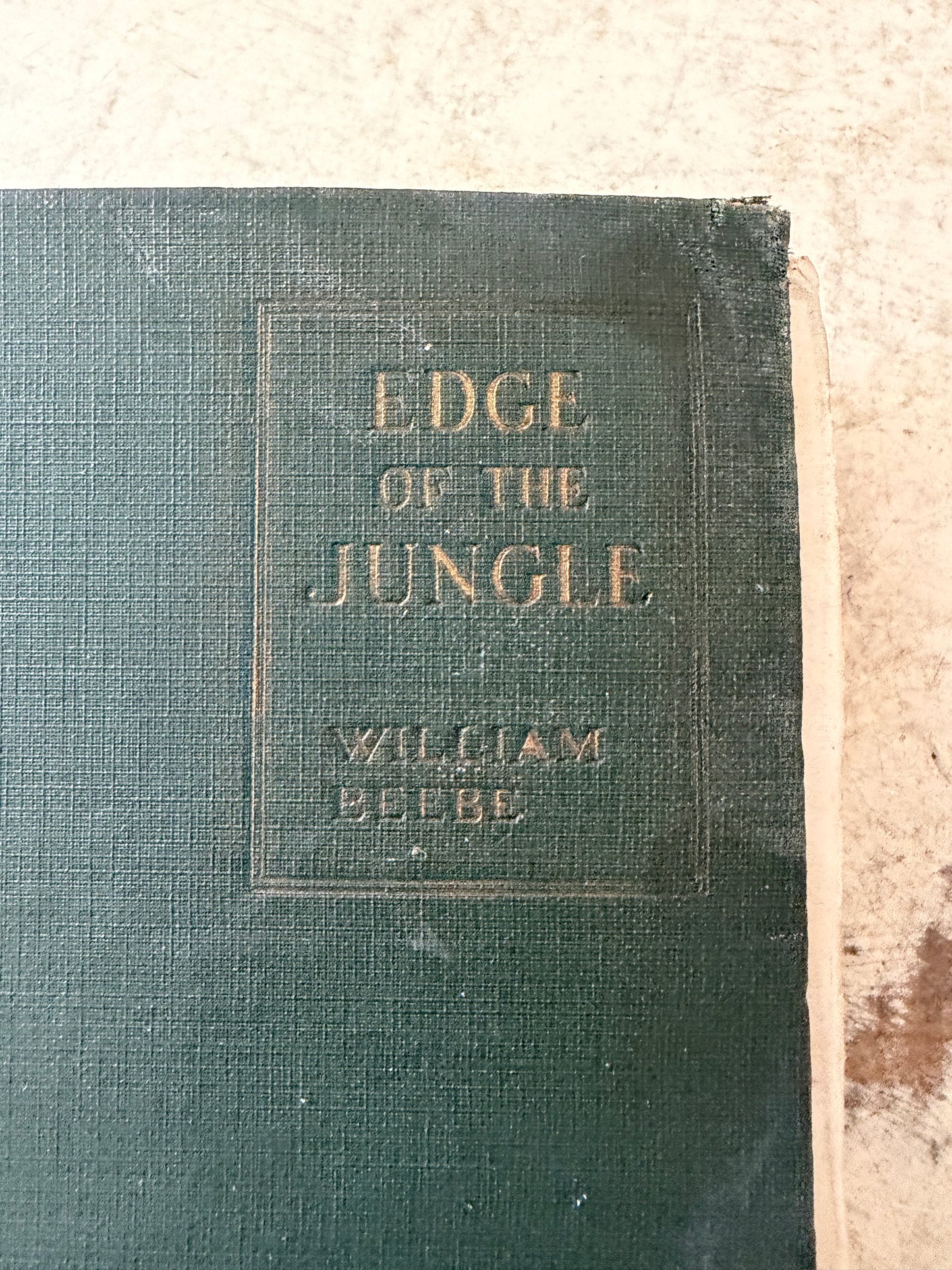 Edge of the Jungle - Book