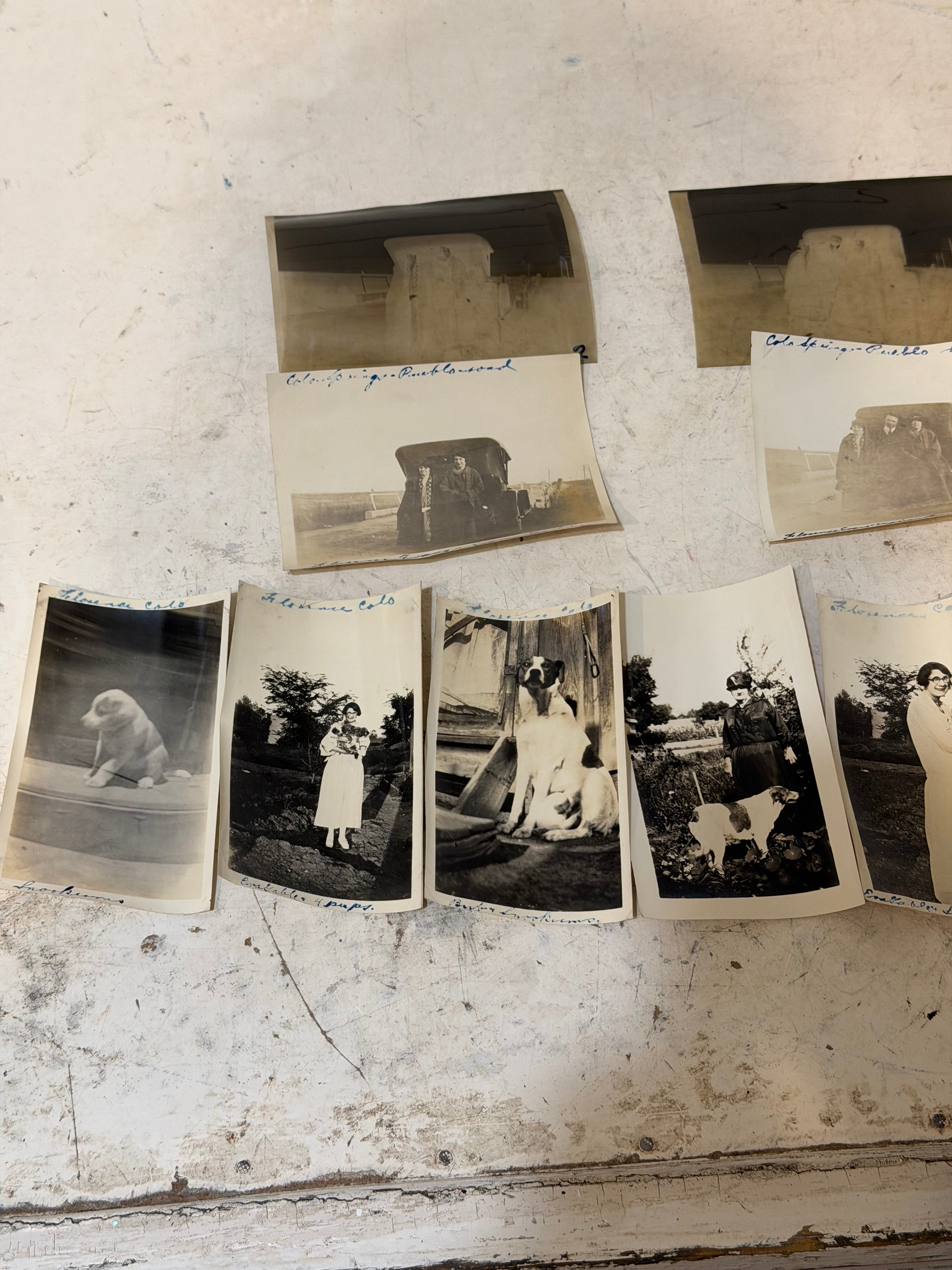Vintage set of black and White Photos - Mostly of Dogs