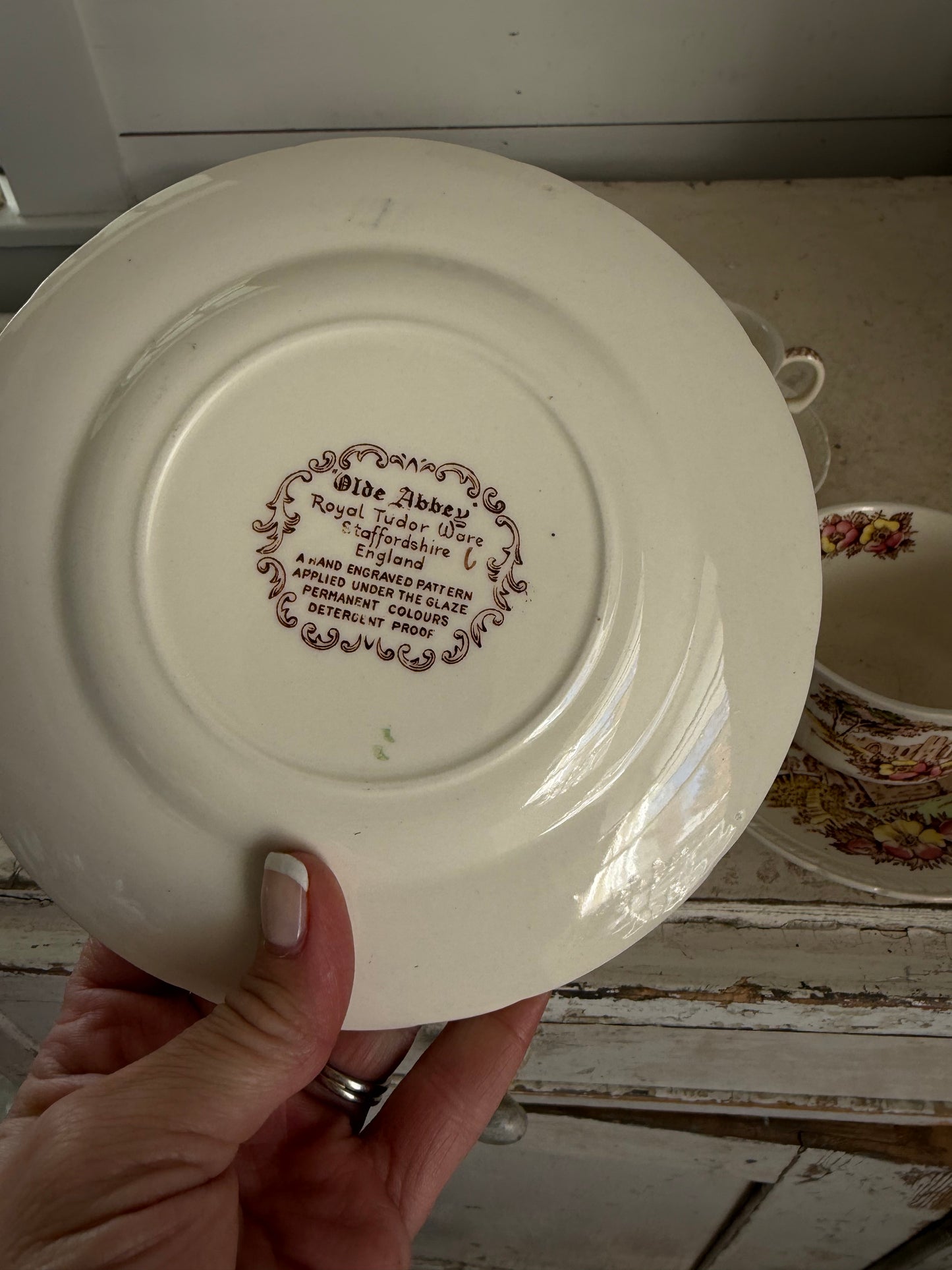 Vintage Royal Tudor Ware Olde Abbey Teacup & Saucer & small plates sold individually