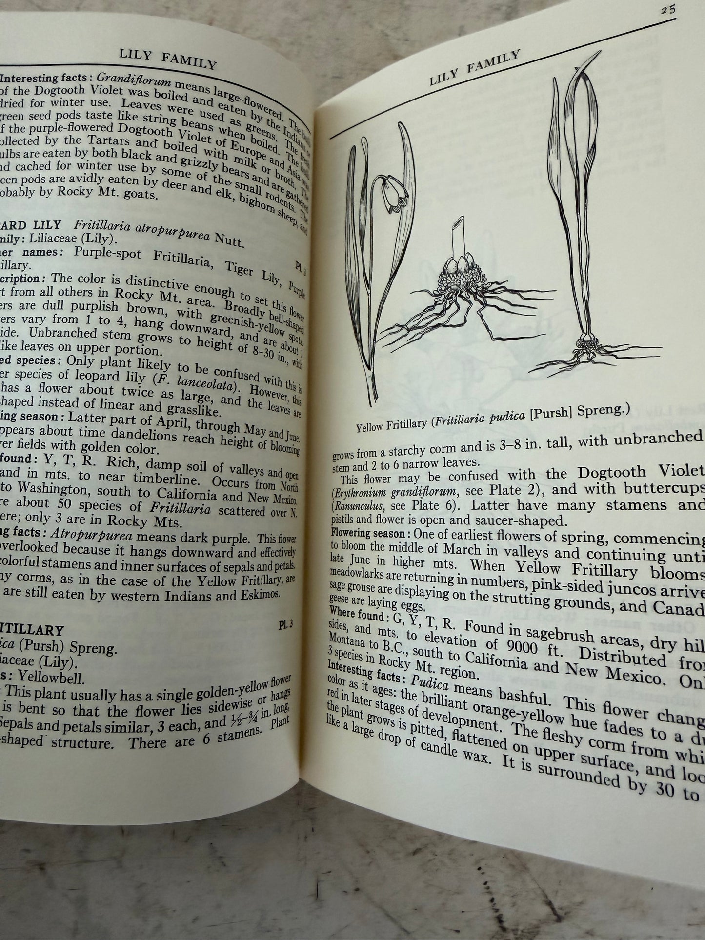 A Field Guide to Rocky Mountain Wildflowers by John Johnson Craighead, Frank C. Craighead Jr., and Ray J. Davis