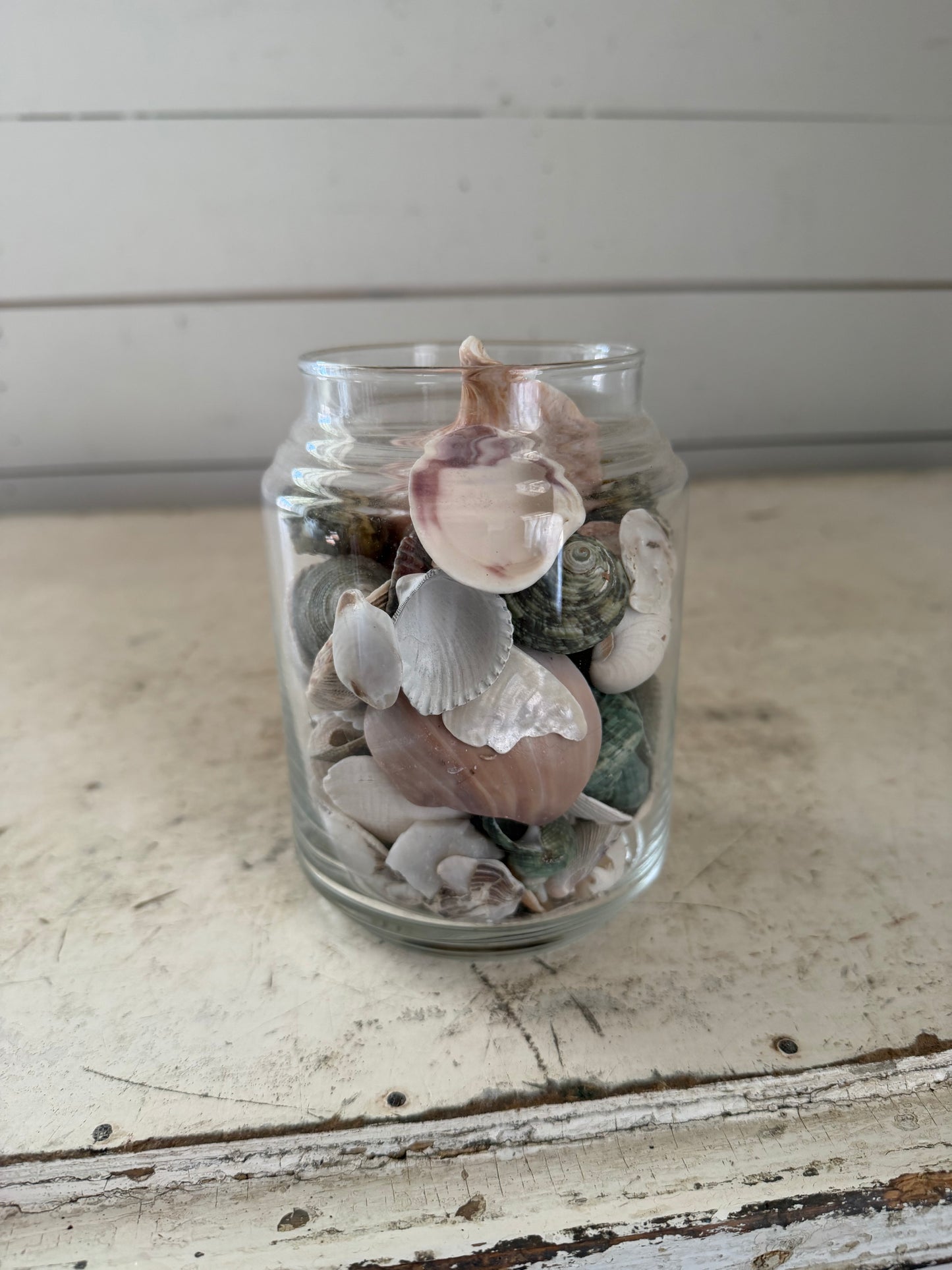 Glass Jar Filled With Seashells - No lid