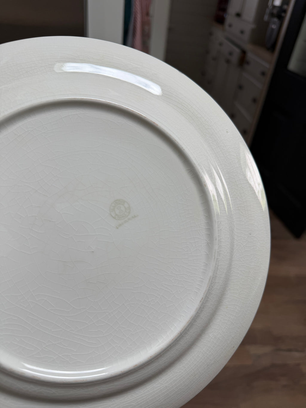 Vintage Rare Illinois China Co ILL26 Dinner Plates Roses Yellow Gold Trim sold individually