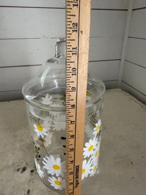 Apothecary jar with handpainted daisies