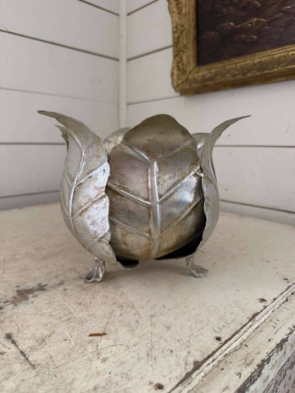 Metal cabbage planter