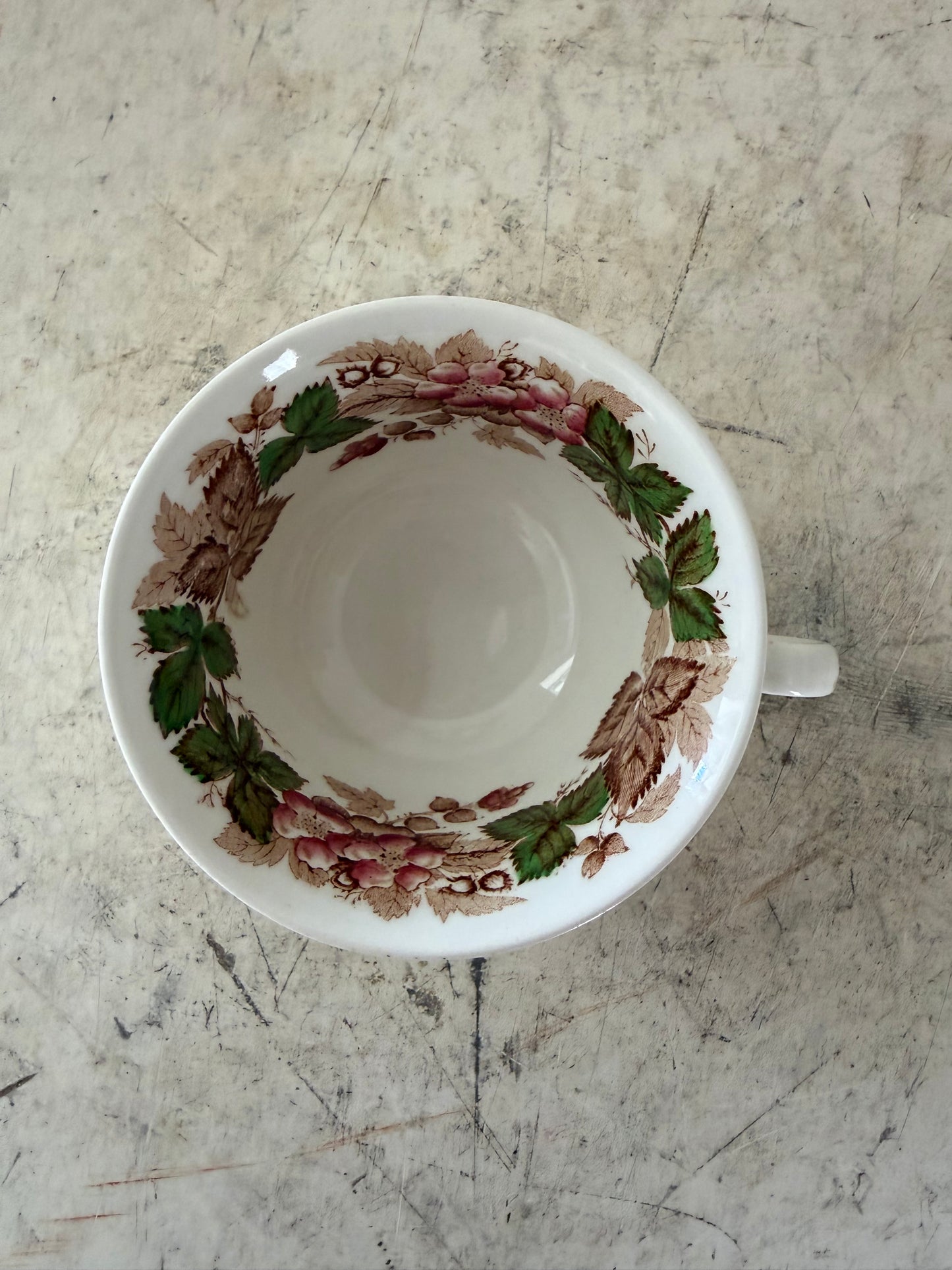 Wedgwood Etruria Barlaston WILDBRIAR COFFEE TEA CUP