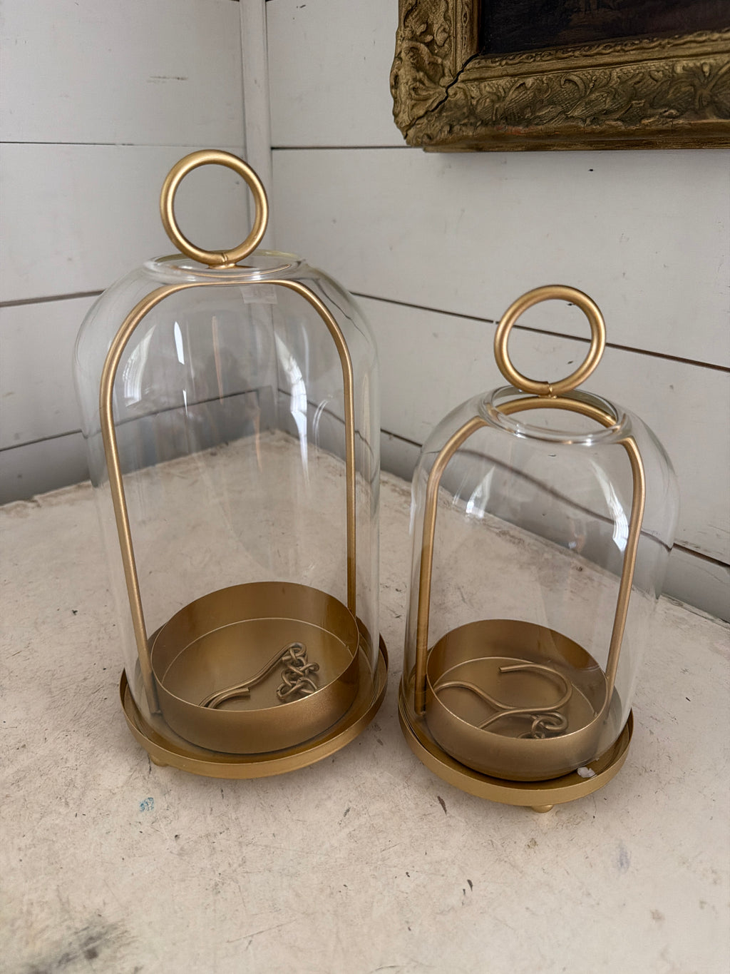 5” and 4” glass dome terrarium