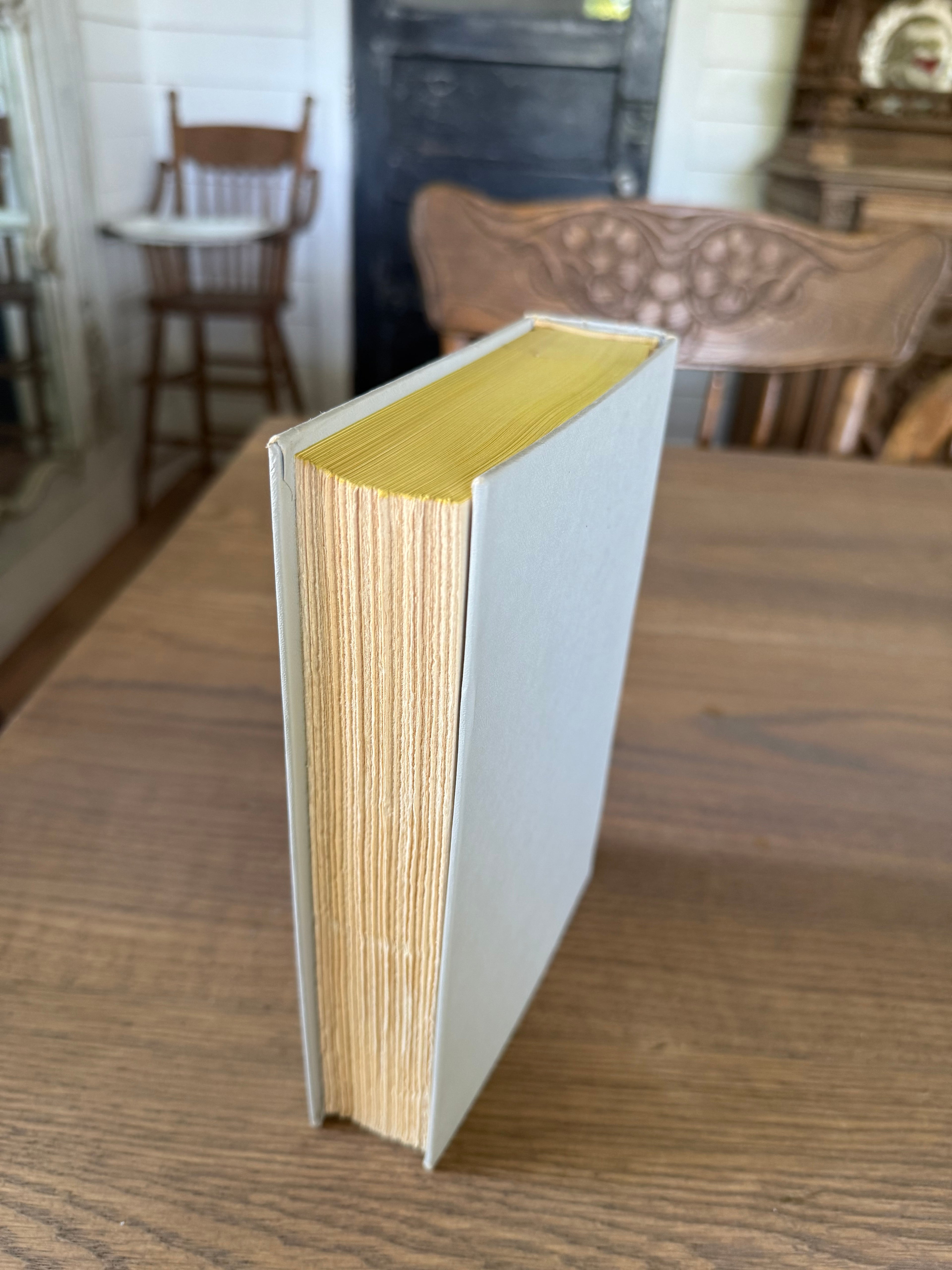 Senator Marlowe‘s daughter - Book