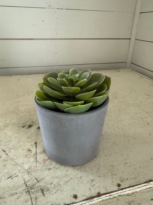 Potted Faux Succulent
