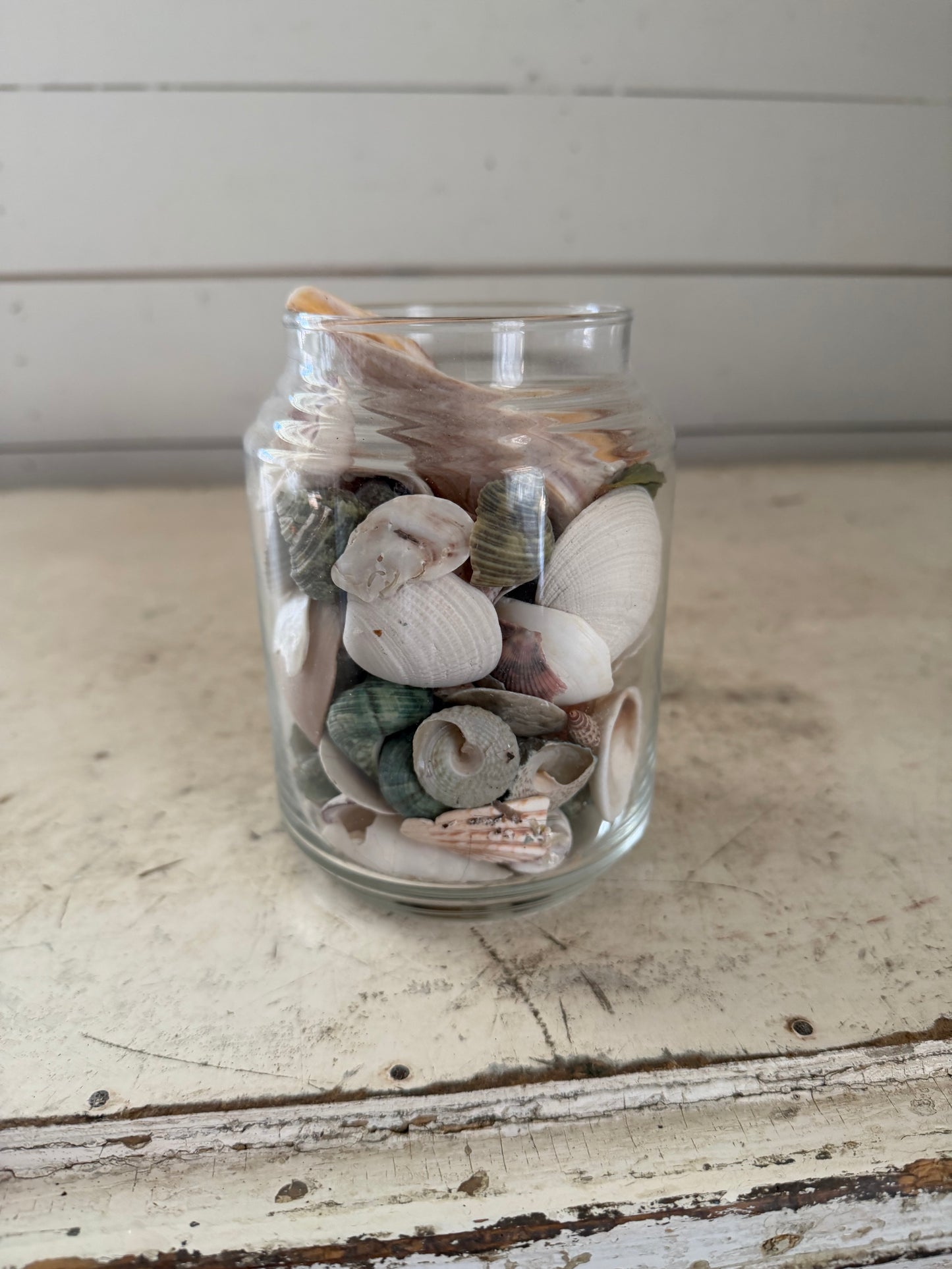 Glass Jar Filled With Seashells - No lid
