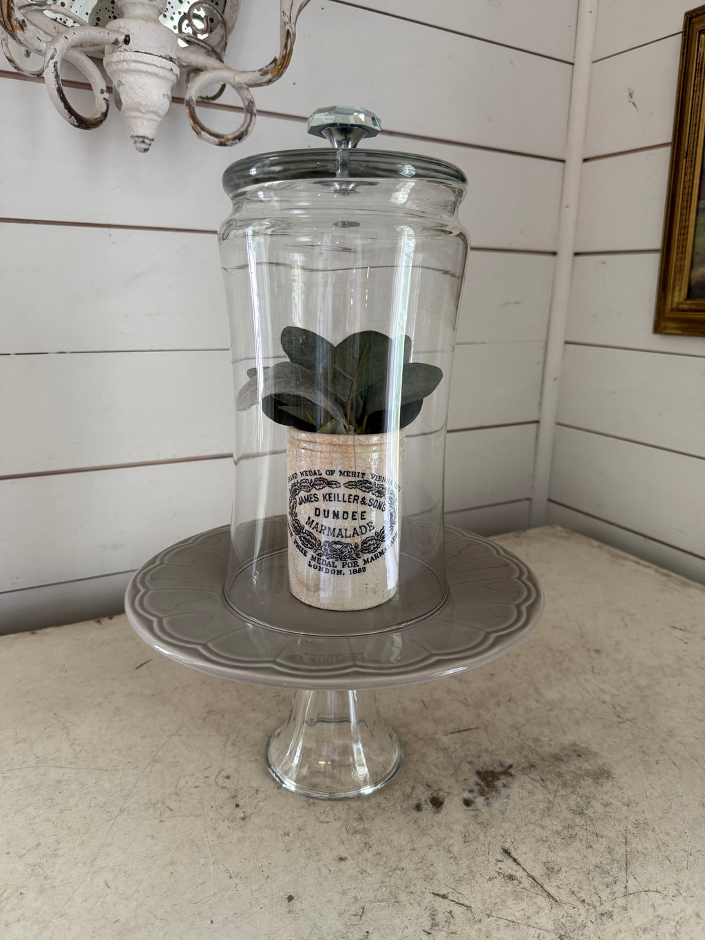 Cloche with Knob and plate - decor inside not included