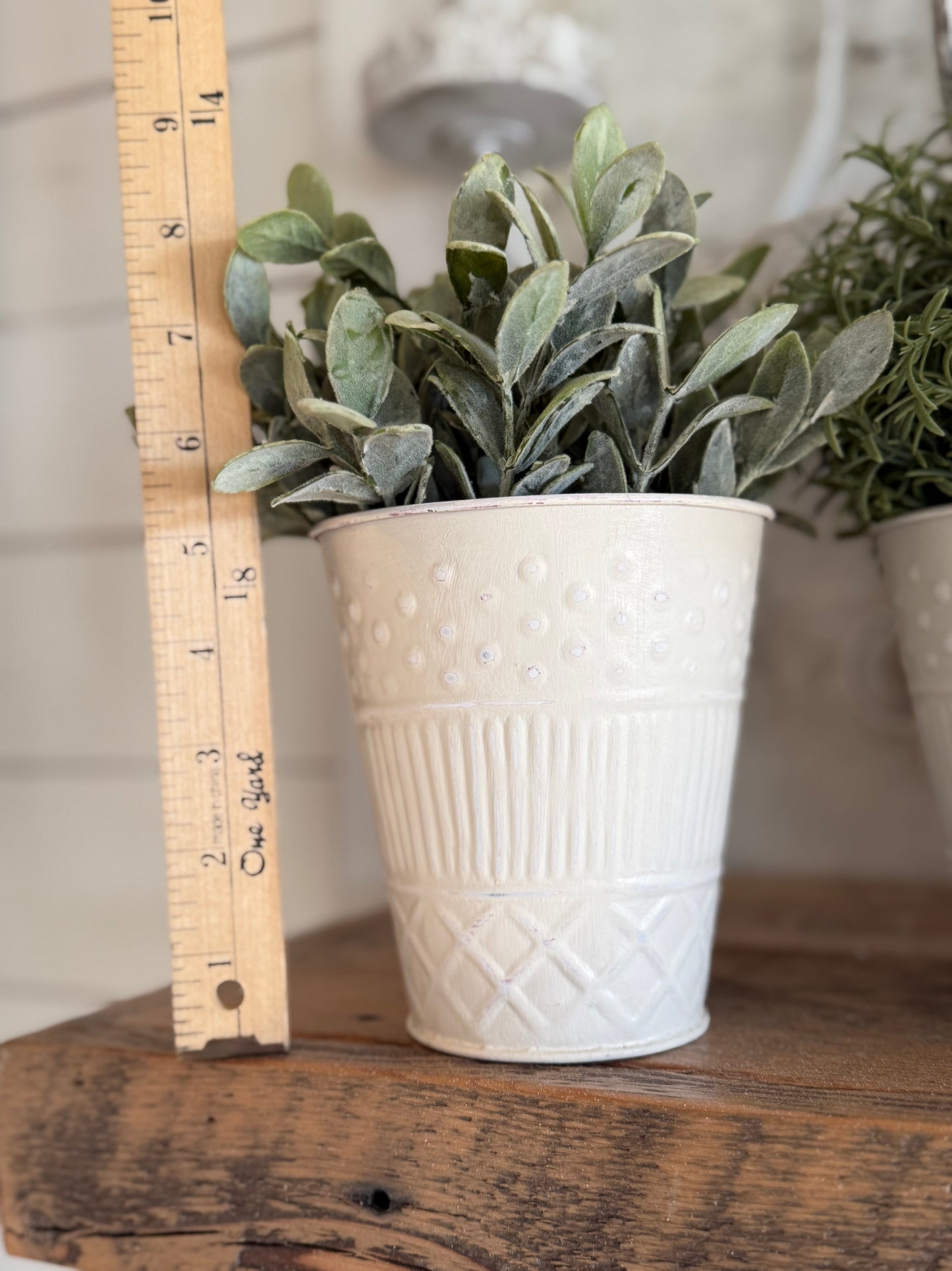 Cream Metal Bucket Hand Painted - Greenery not included