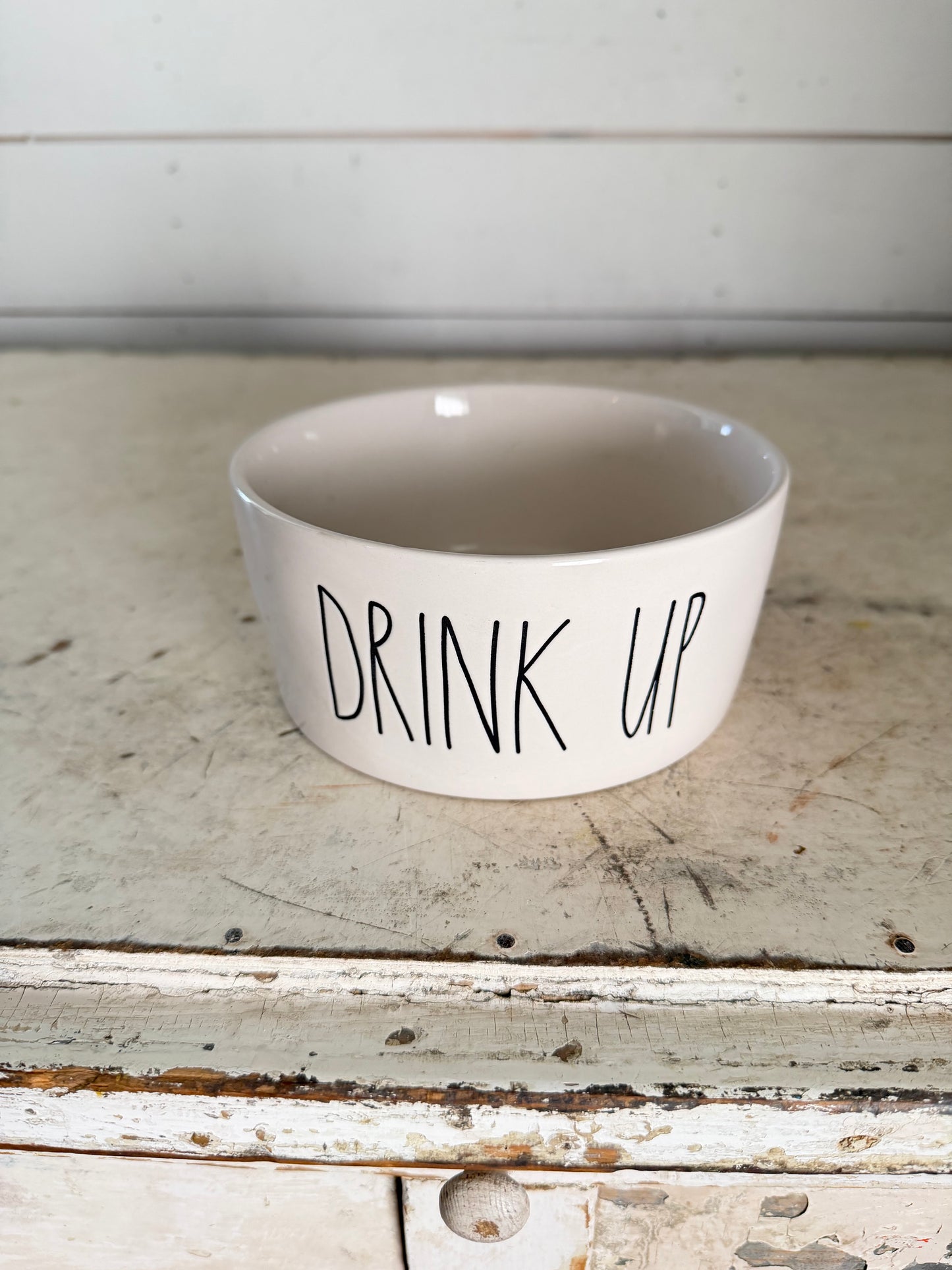 Rae Dunn “Drink Up” Pet Bowl