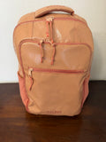 Calpak Terra 14" Laptop Backpack In Canyon