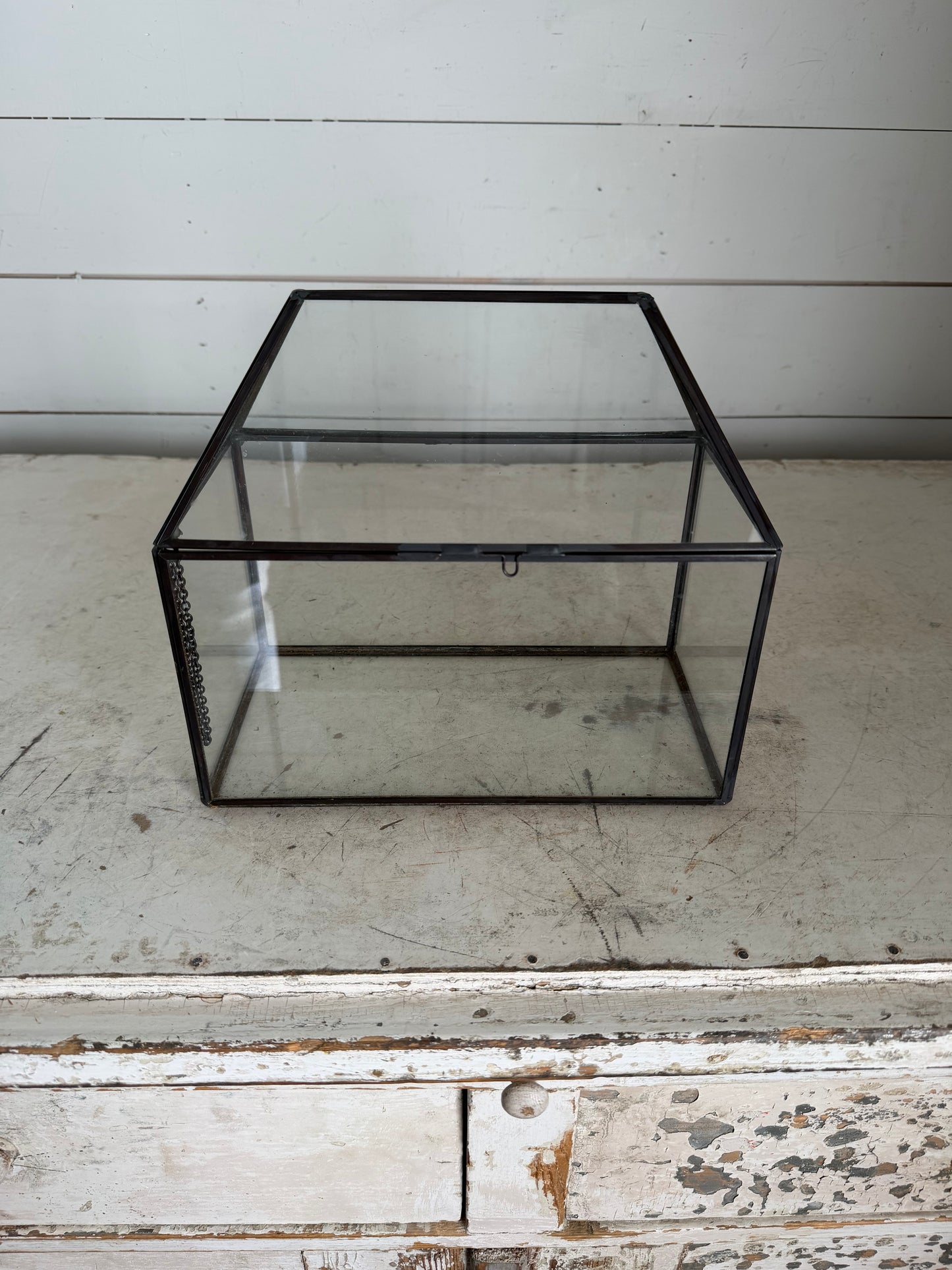 Metal and Glass Mini Terrarium