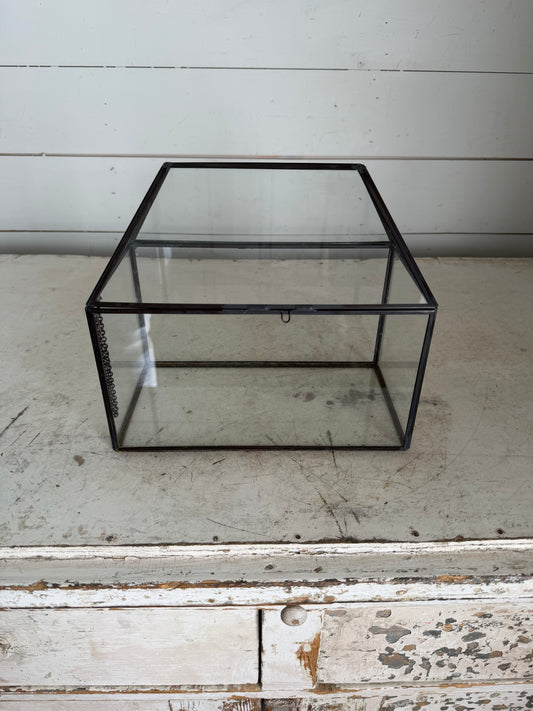 Metal and Glass Mini Terrarium