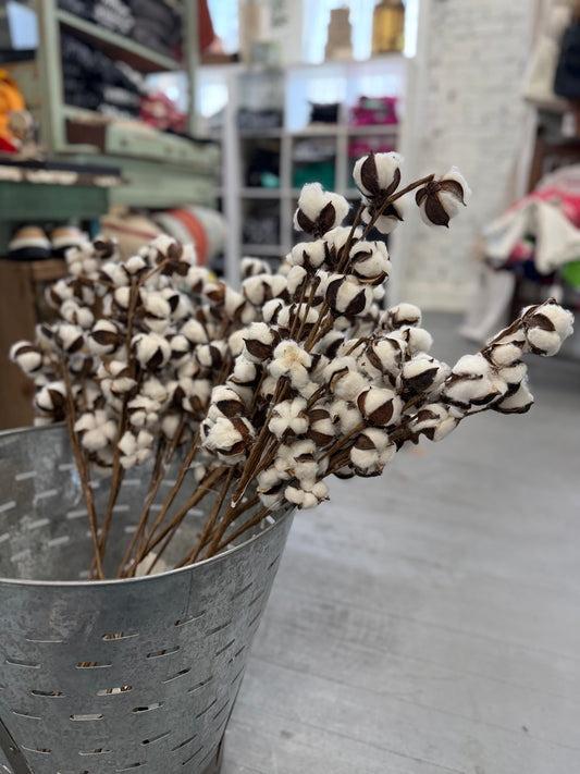 Set of 12 Cotton Stems