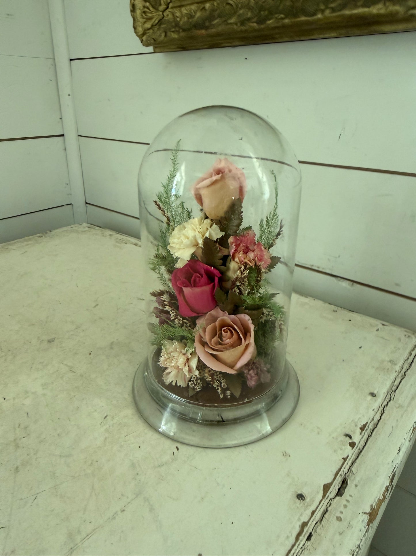 Preserved floral roses in glass dome