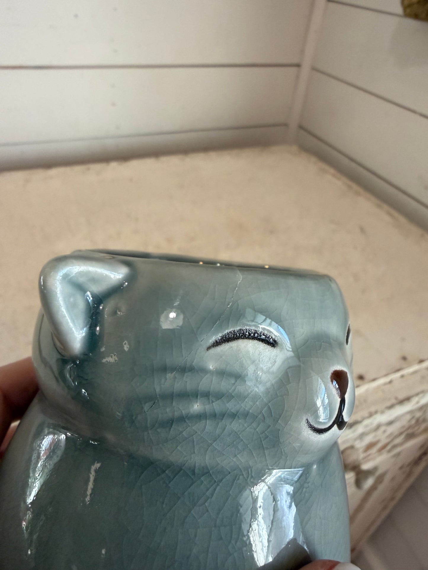 Pier 1 Cat Mug