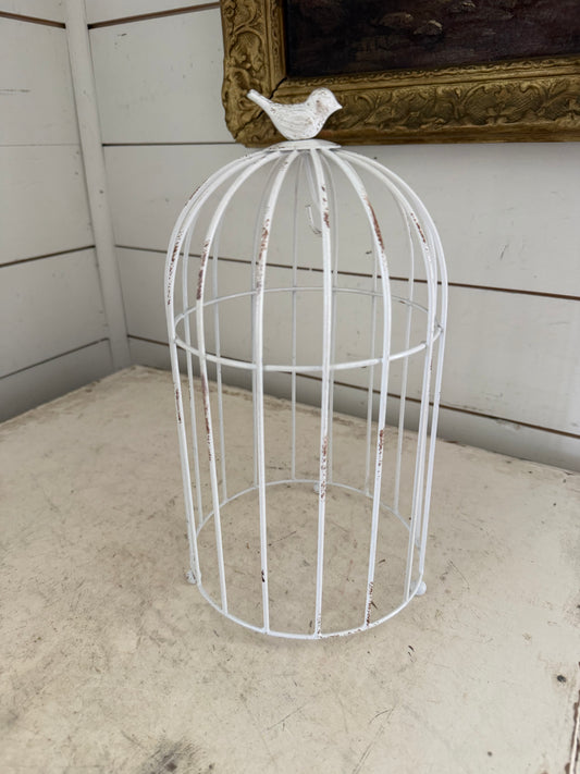 Bird House Cloche