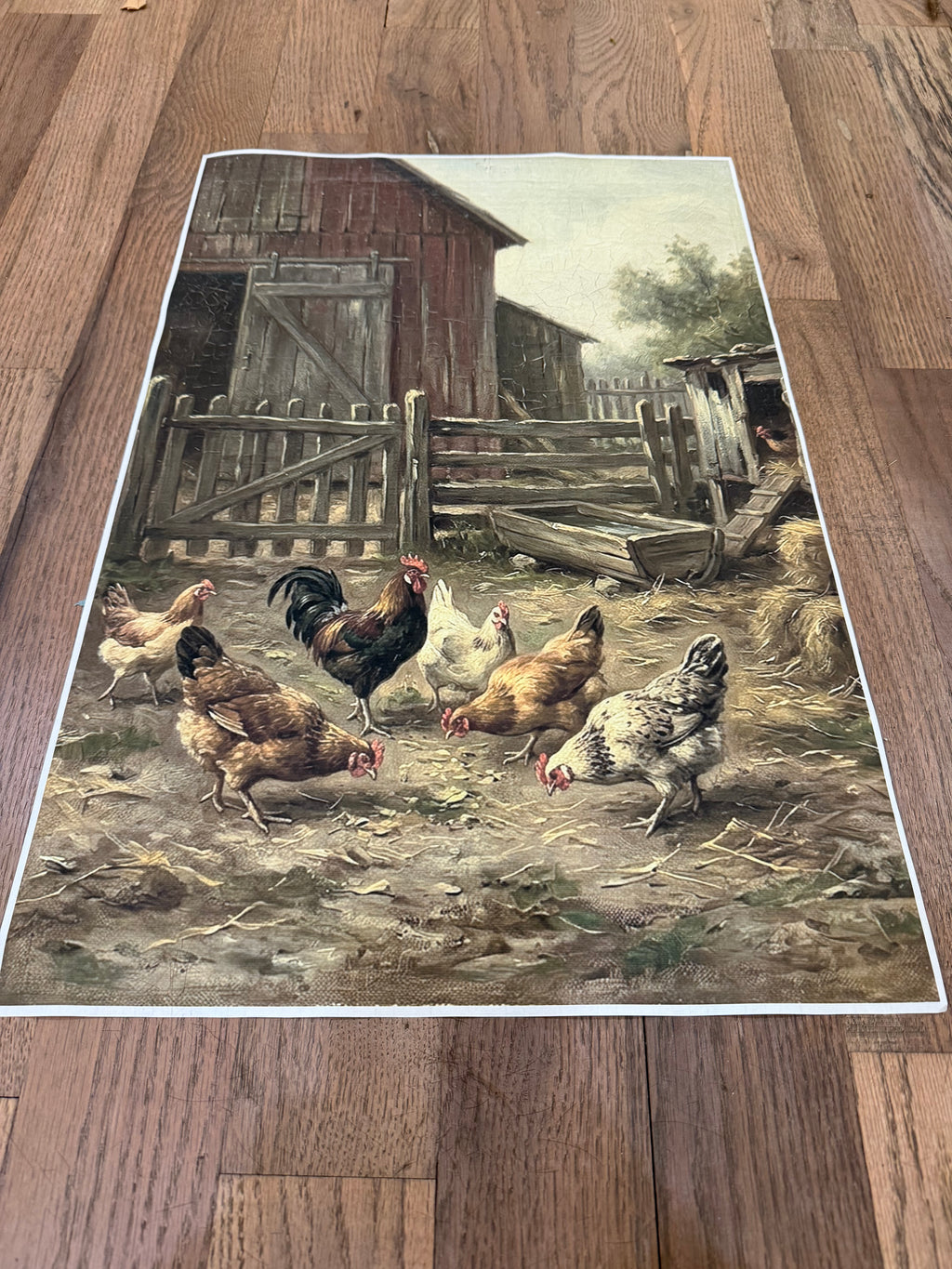 Chicken Yard | JRV Medium Rice Paper