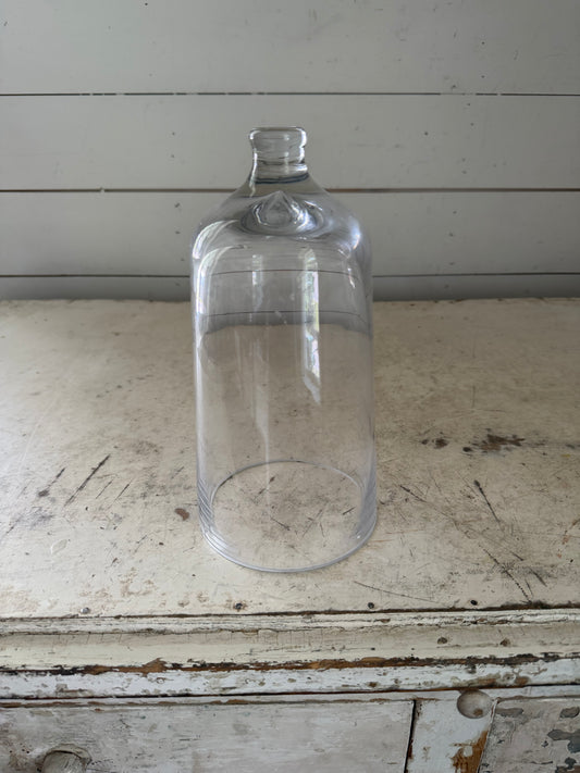 Glass Cloche