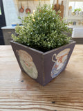 Hand Painted Teacup Wood Box greenery not included
