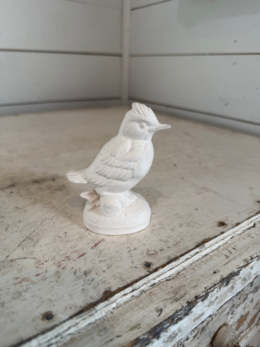 Bird will be painted