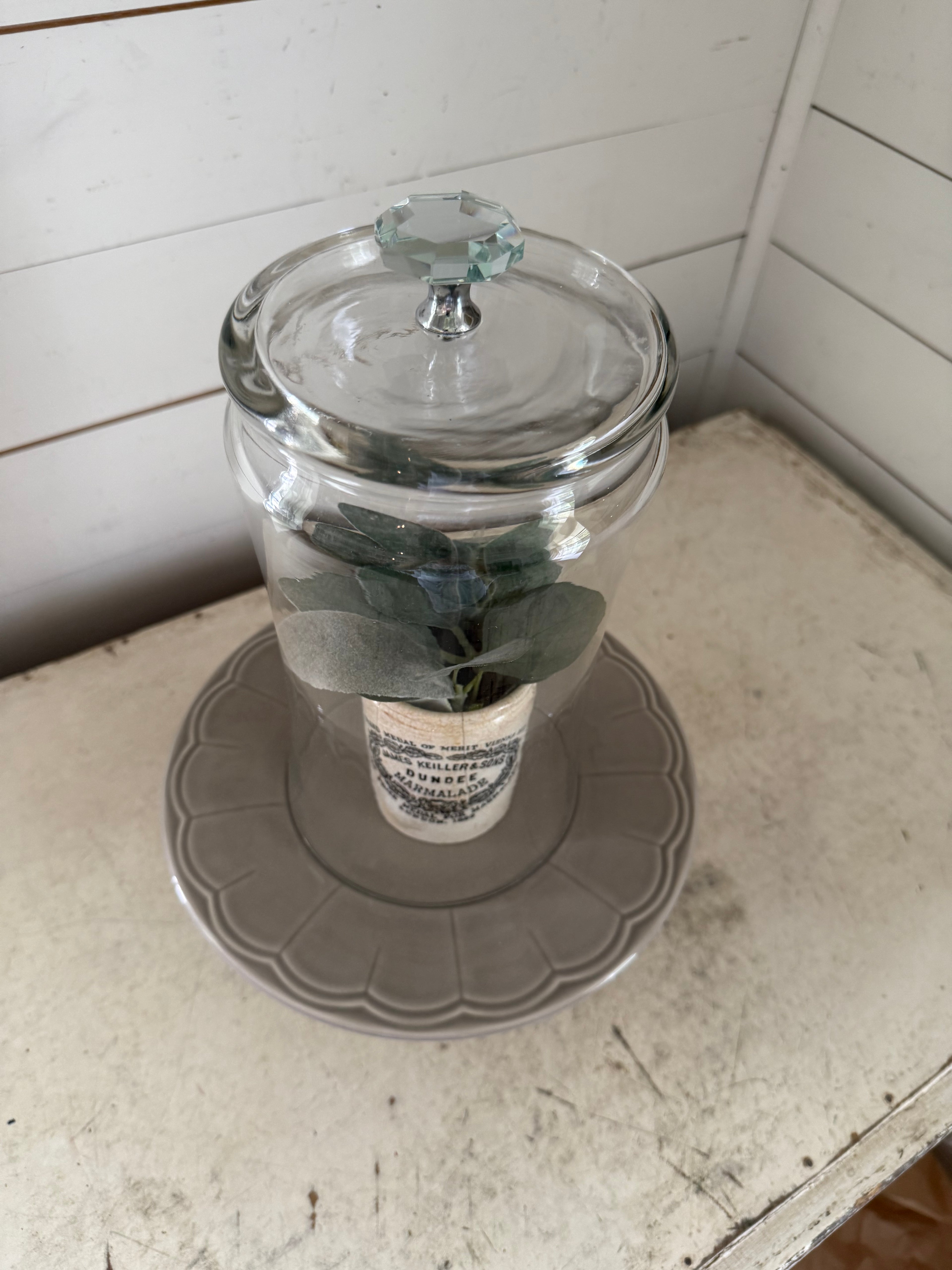 Cloche with Knob and plate - decor inside not included
