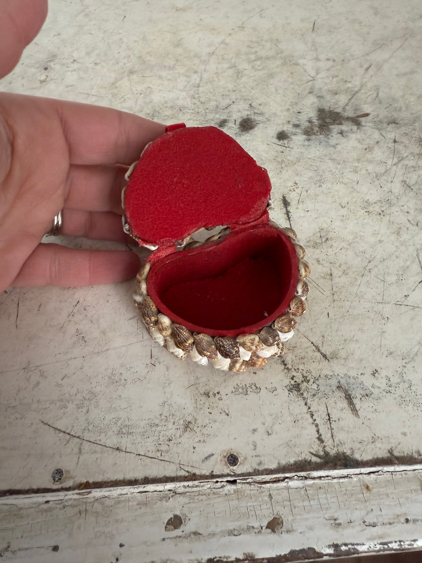 Mini Shell Trinket Box