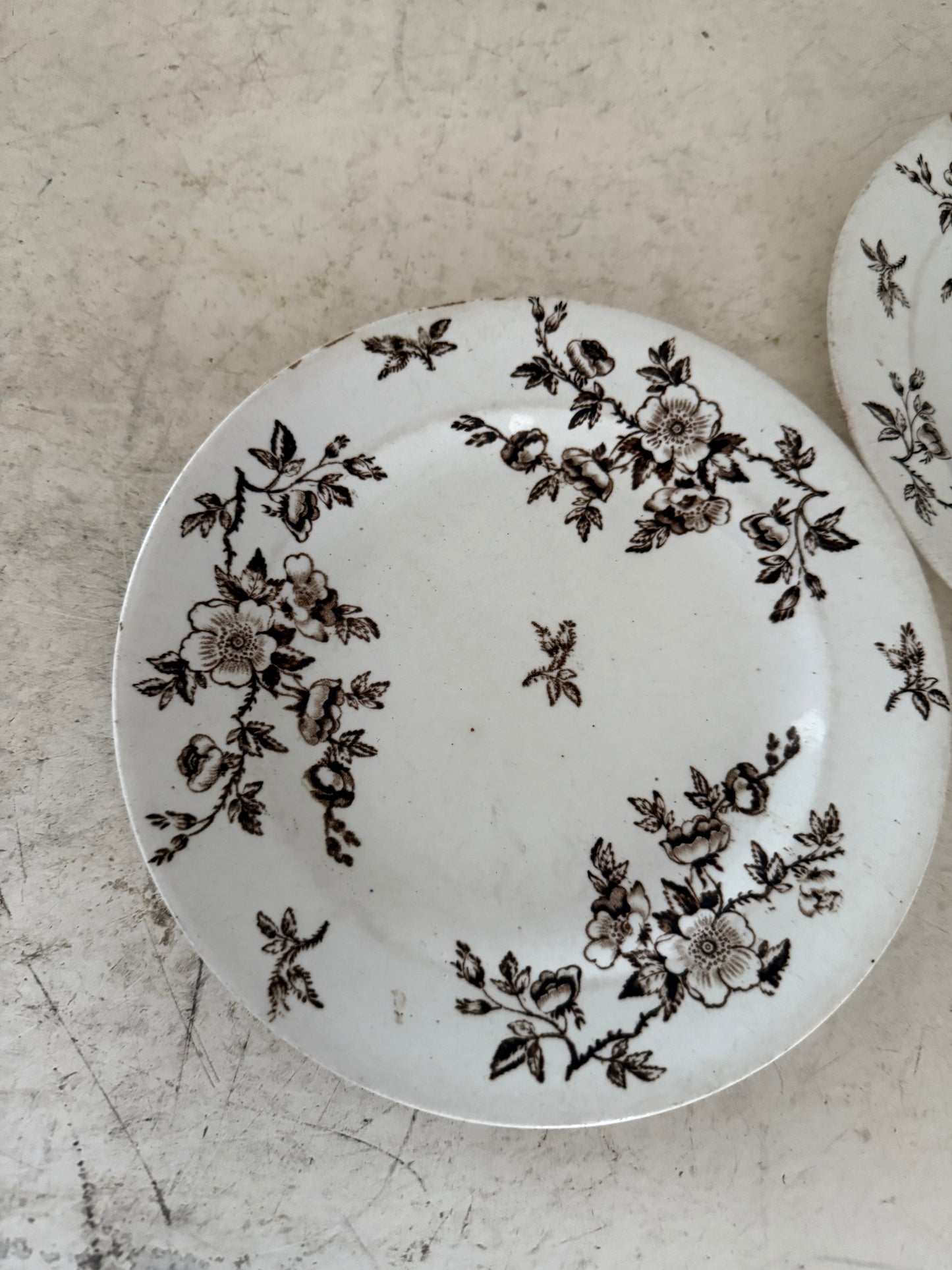 Antique 1884 Ashworth Bros Aesthetic Brown Transferware 8.5" Luncheon Plate sold individually