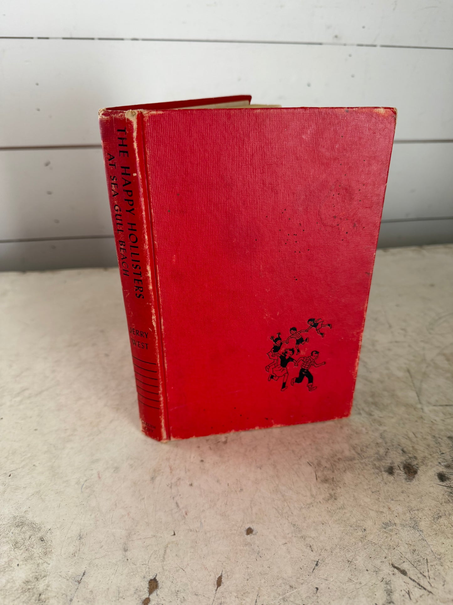 The happy Hollister’s at Seagull Beach Book