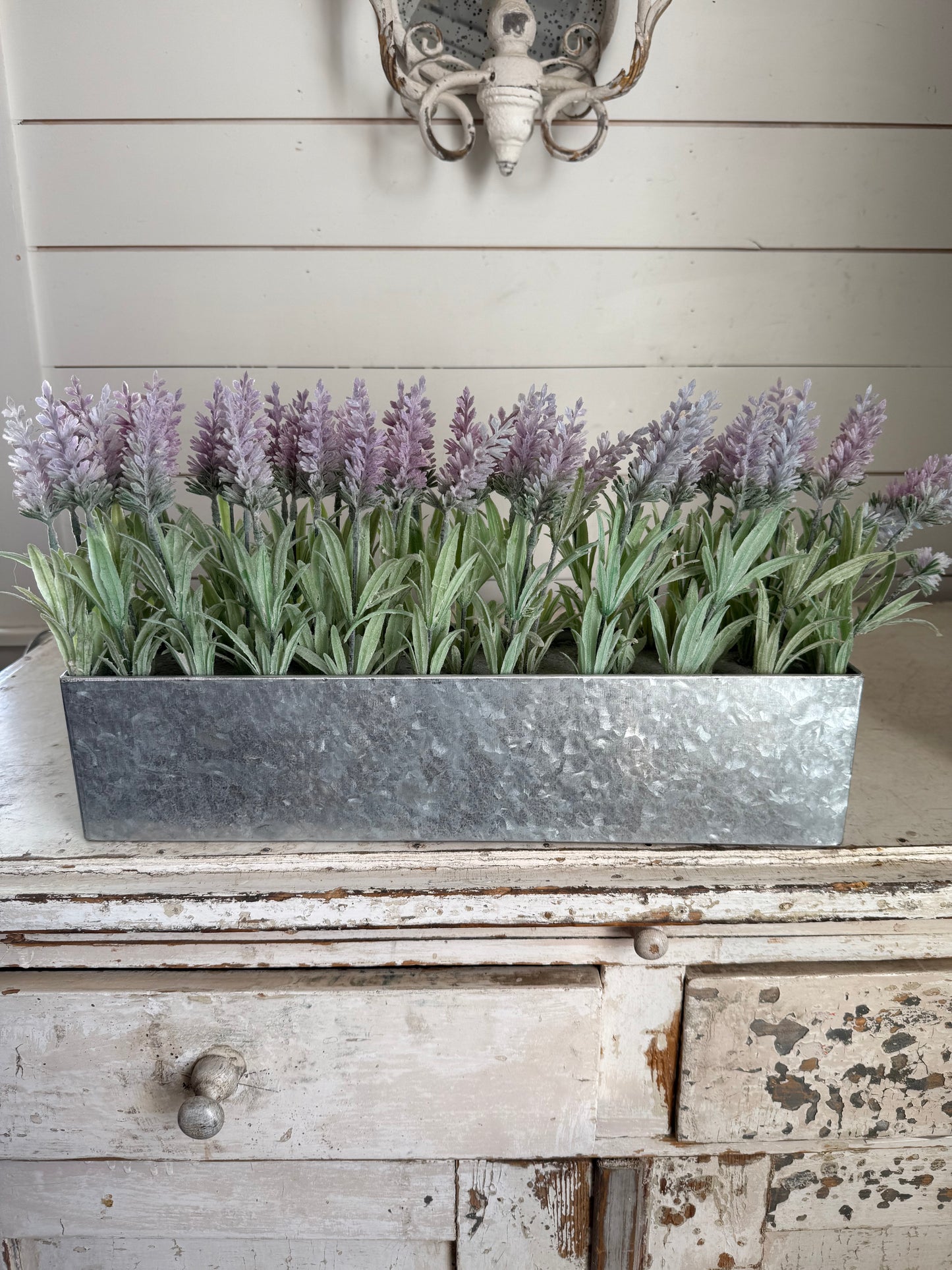 Lavender planter will get new moss