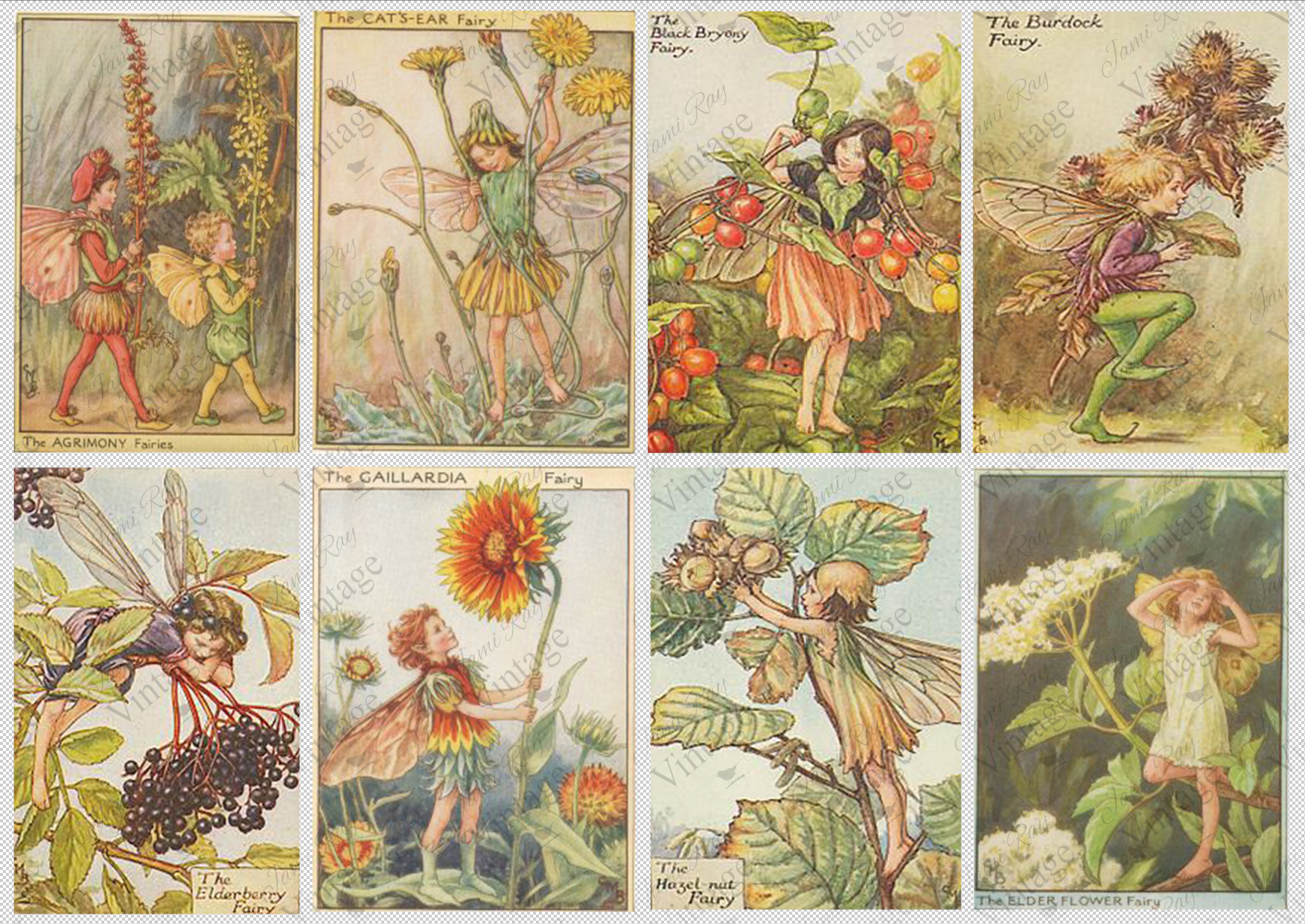 Forest Fairies | JRV A4 Rice Paper