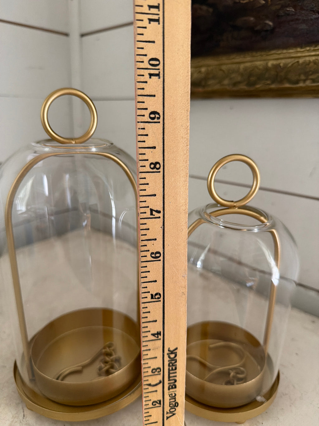 5” and 4” glass dome terrarium