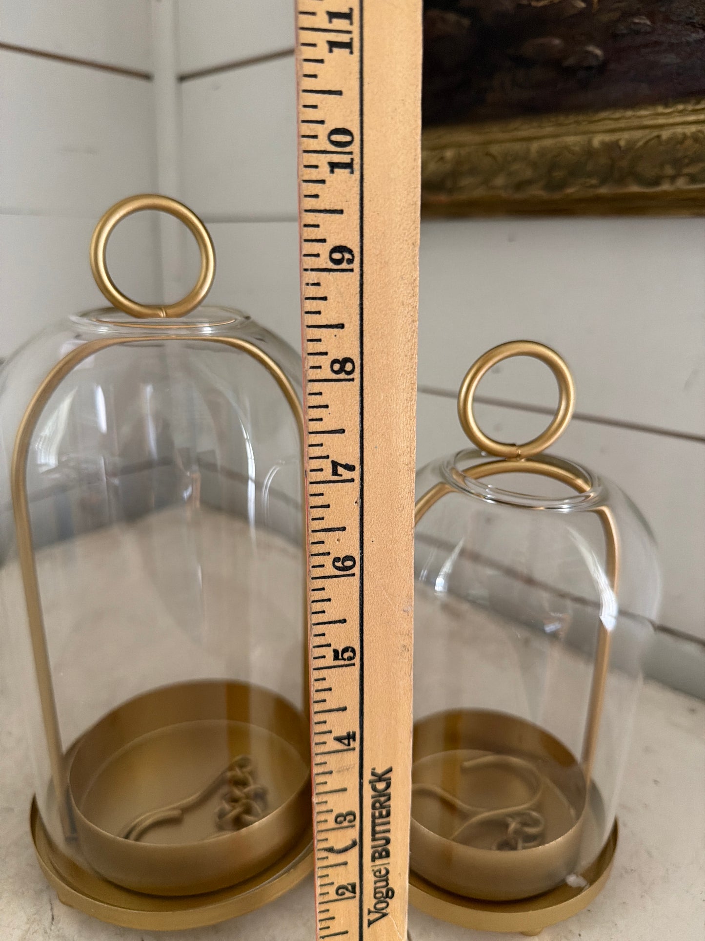 5” and 4” glass dome terrarium