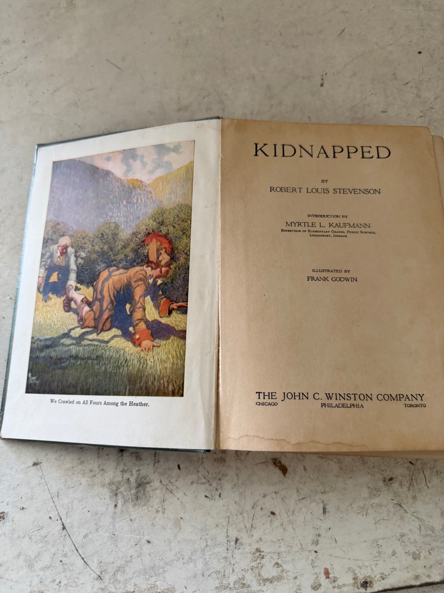 Kidnapped Book